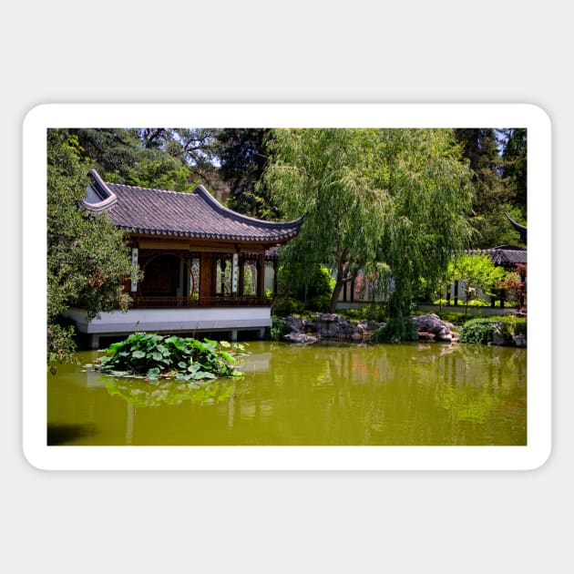 Chinese Pond Sticker by jswolfphoto